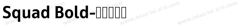 Squad Bold字体转换